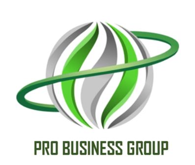 Pro Business Group